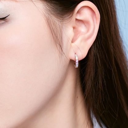 [Everoly JW]Radiant Colorful Round Cut Earrings
